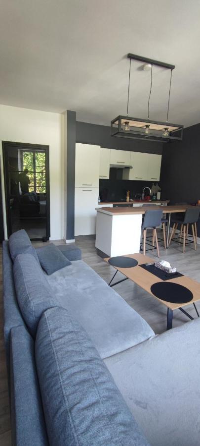 Appartement D'Hippolyte - Vue Musee Rimbaud Charleville-Mézières Zewnętrze zdjęcie