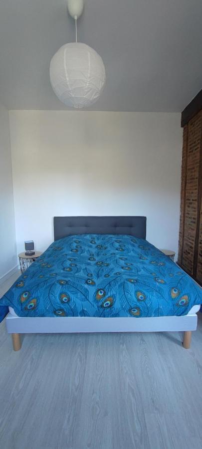 Appartement D'Hippolyte - Vue Musee Rimbaud Charleville-Mézières Zewnętrze zdjęcie