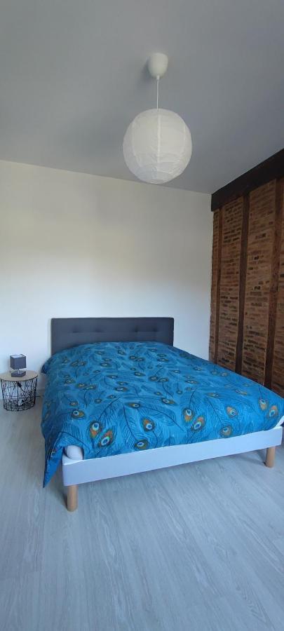 Appartement D'Hippolyte - Vue Musee Rimbaud Charleville-Mézières Zewnętrze zdjęcie
